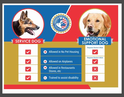 Register dog as emotional support animal. Things To Know About Register dog as emotional support animal. 